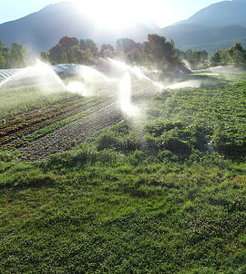 formation agriculture biologique