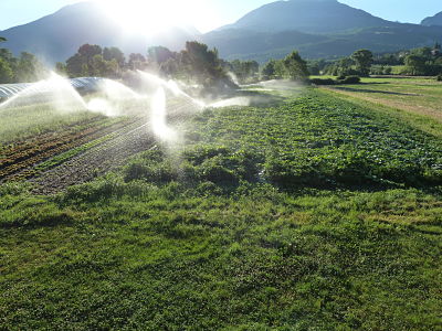 formation agriculture biologique