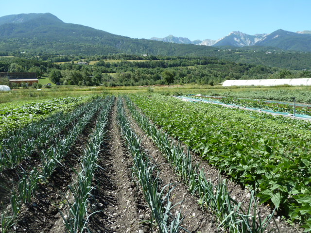 formation agriculture biodynamique