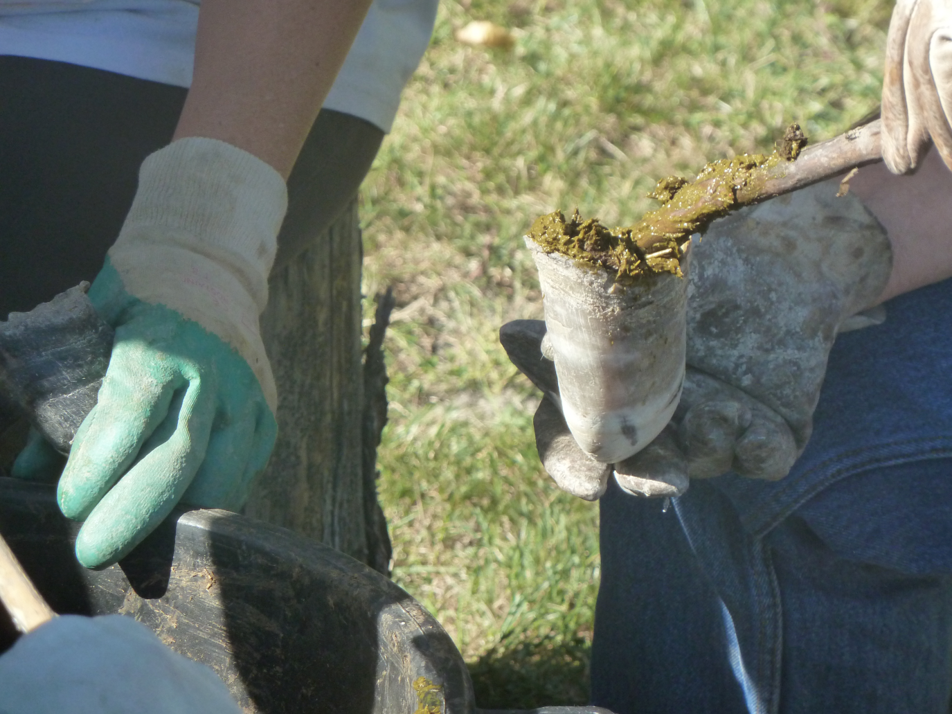 formation biodynamie