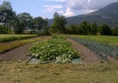 formation agriculture biologique