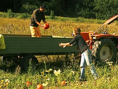 formation agriculture biologique