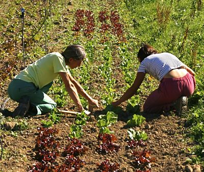 conseil expertise agroécologie